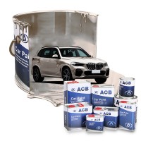 Fast Drying and High Gloos 2K Top Coat Car Coat Paint Automotive Paint